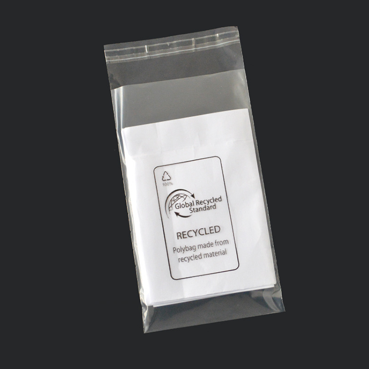 Transparent Clear Bag for Versatile Clothing Use